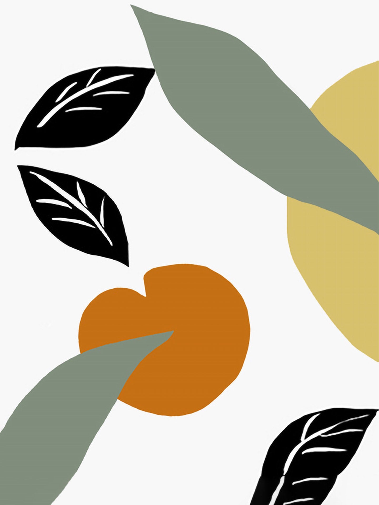 An orange and leaves on a white background.