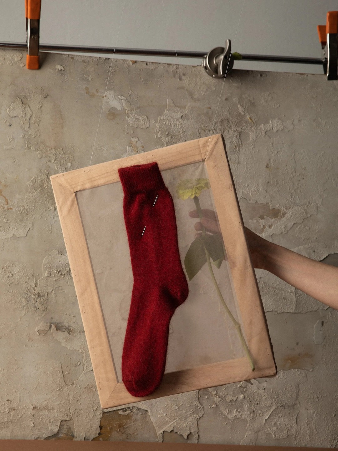 A Francie Possum Merino Socks – Crimson, marked with a size chart indicating EUR, UK, and US shoe sizes, is pinned inside a wooden frame against a concrete wall; a hand is visible adjusting the frame.
