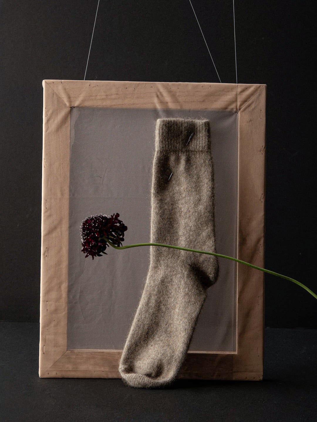 A single Possum Merino sock, made from New Zealand merino wool, is displayed in a wooden frame, accompanied by a stem with a dark flower, against a black background.