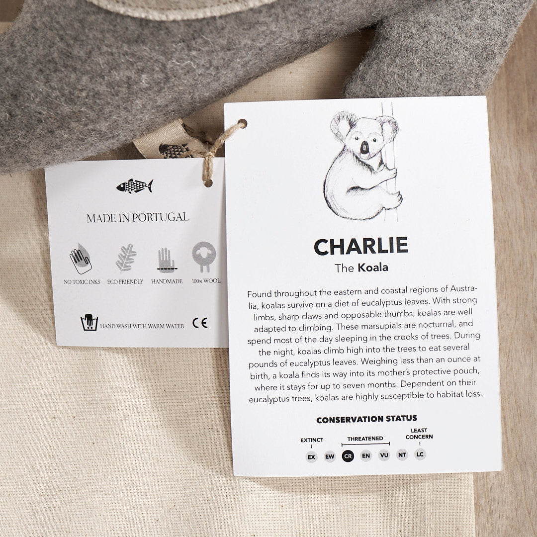 A CHARLIE, the Koala stuffed animal with a card on it from Carapau.
