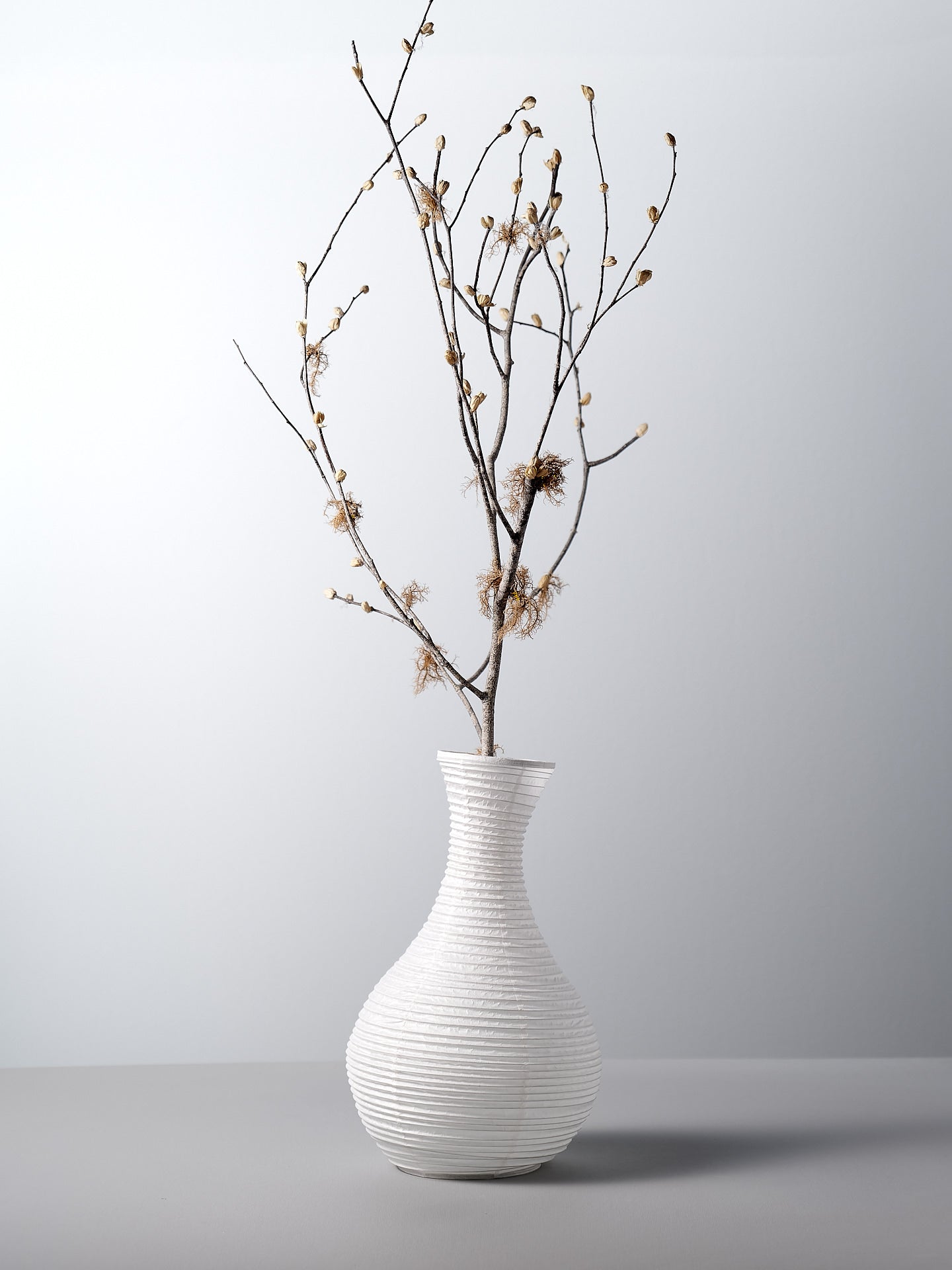 A Nobi-tsutsu Paper Vase - №5 by Hayashi Kougei with a branch in it.