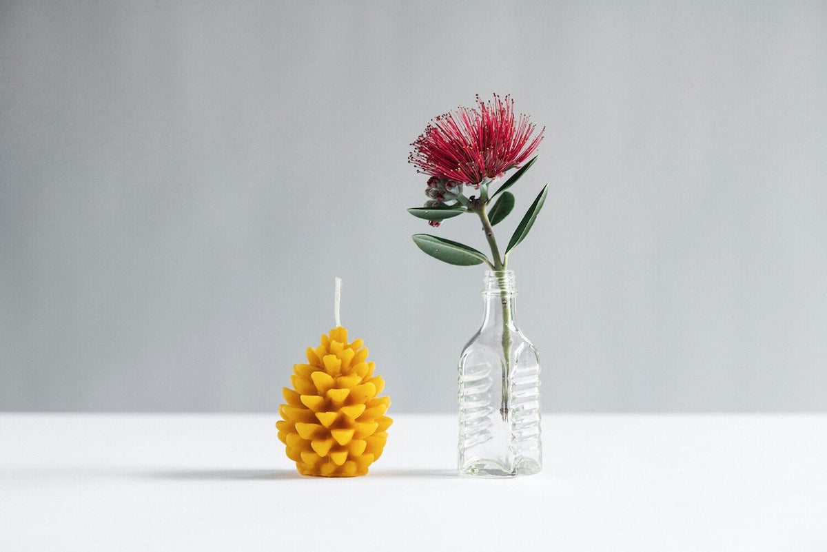 A vase with a flower in it next to a Pauariki Honey Pine Cone Candle.