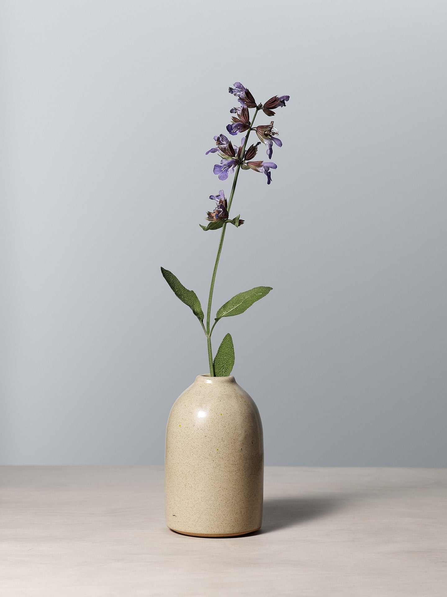 A Richard Beauchamp small bud vase with a purple flower in it.