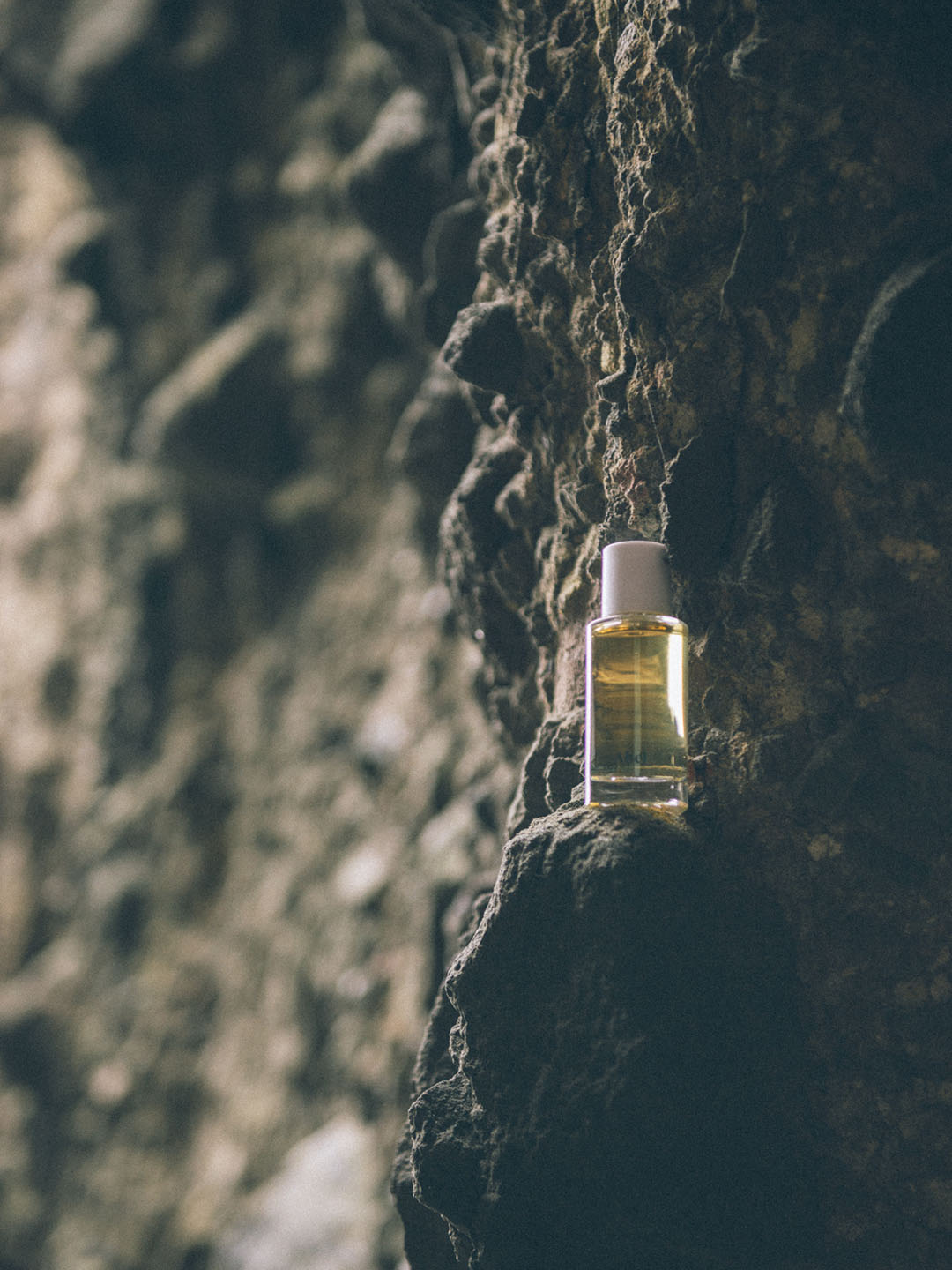 A vibrant bottle of Abel&#39;s Black Anise – a vibrant, smoky amber essential oil sitting on top of a rock.