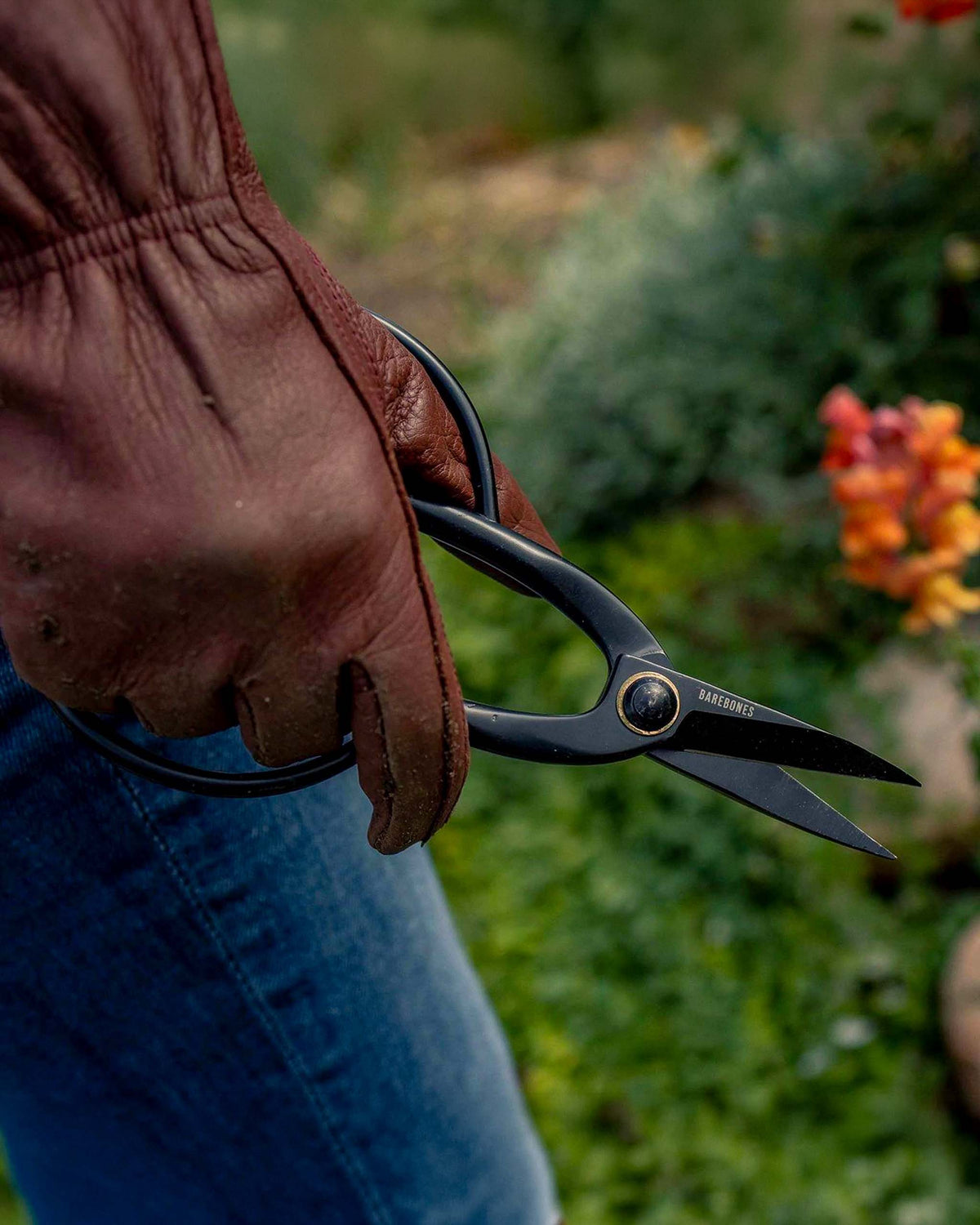 Close-up of a person wearing brown gloves holding Barebones Artisan Pruning Shears, perfectly suited for all your horticultural needs.