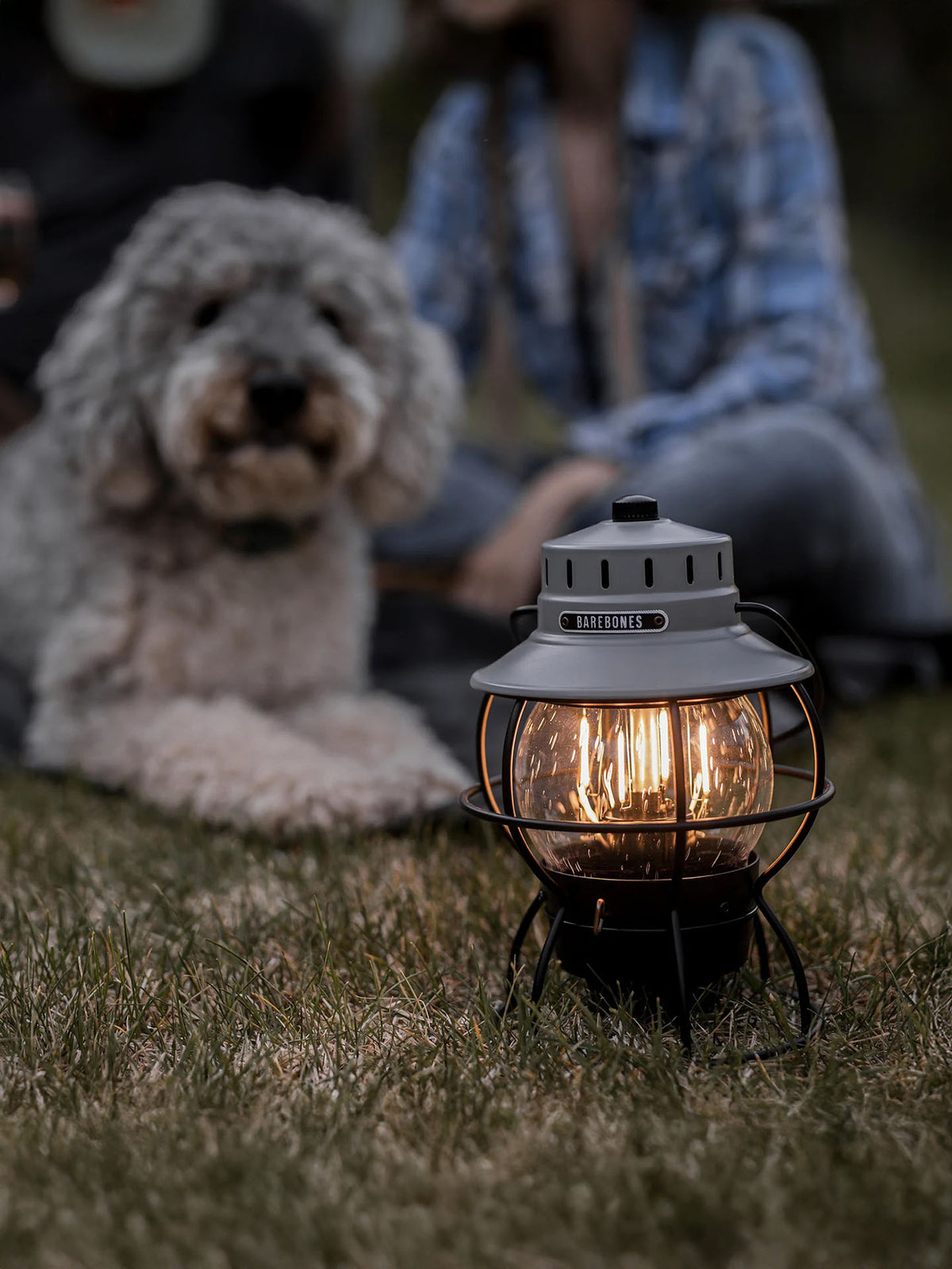 A lit Railroad Lantern – Slate Grey by Barebones rests on the grass, its warm glow illuminating a fluffy dog and a person in a plaid shirt. In the blurred background, an Edison-style bulb enhances the vintage charm of this serene evening scene.