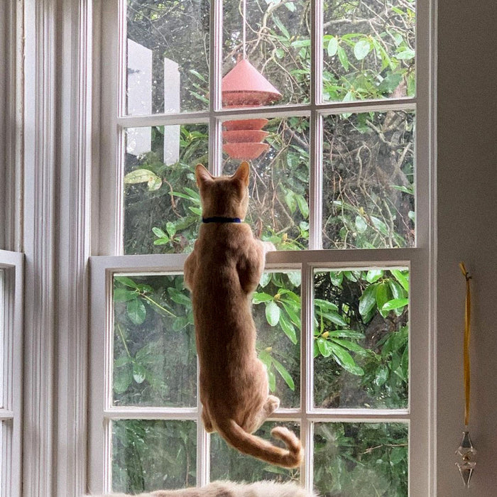 A ginger cat with a collar stands on its hind legs, looking out a window at a red bird feeder hanging from a tree branch.