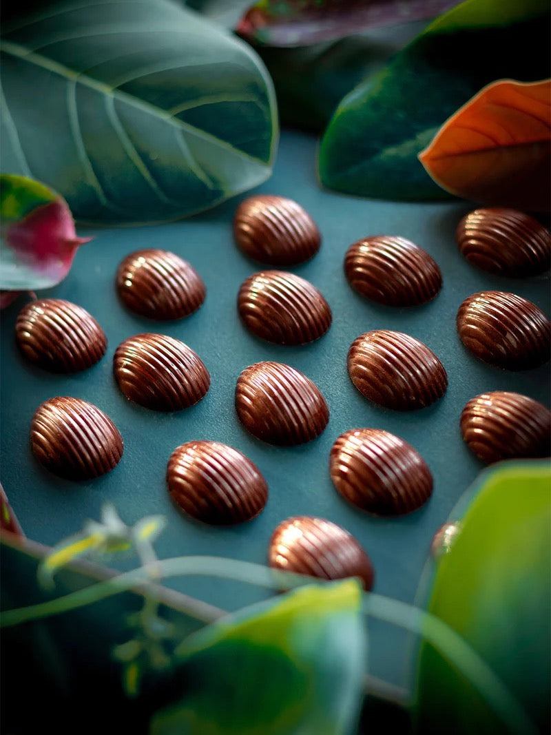 Rows of Foundry Chocolate Mini Chocolate Eggs – Vanuatu 70% amongst green leaves on a dark surface.