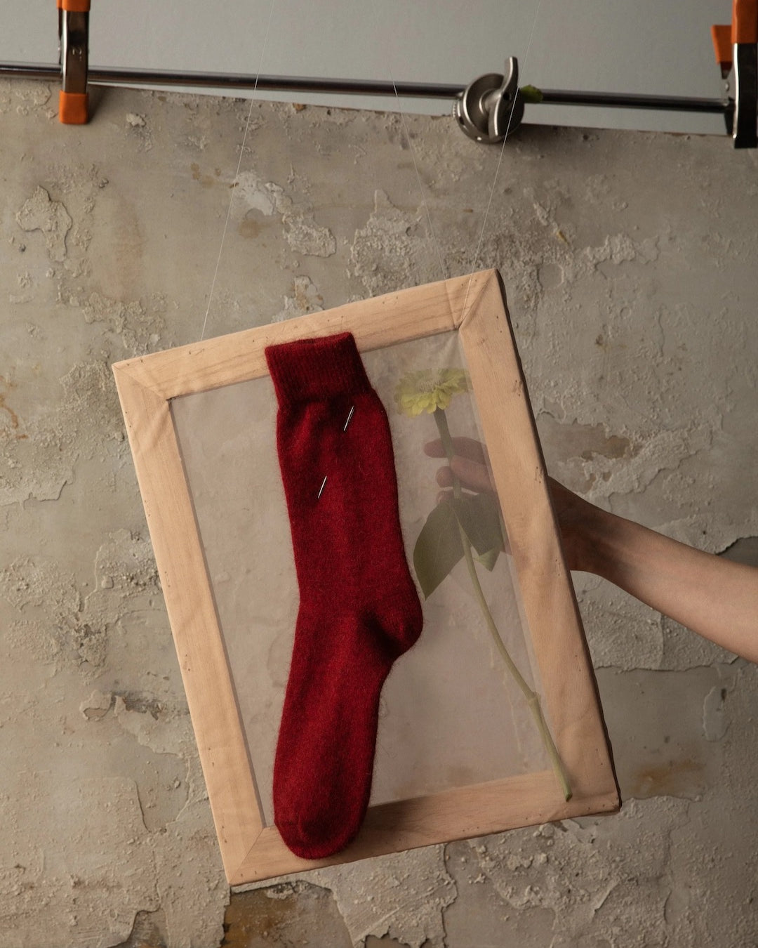 A Francie Possum Merino Socks – Crimson, marked with a size chart indicating EUR, UK, and US shoe sizes, is pinned inside a wooden frame against a concrete wall; a hand is visible adjusting the frame.