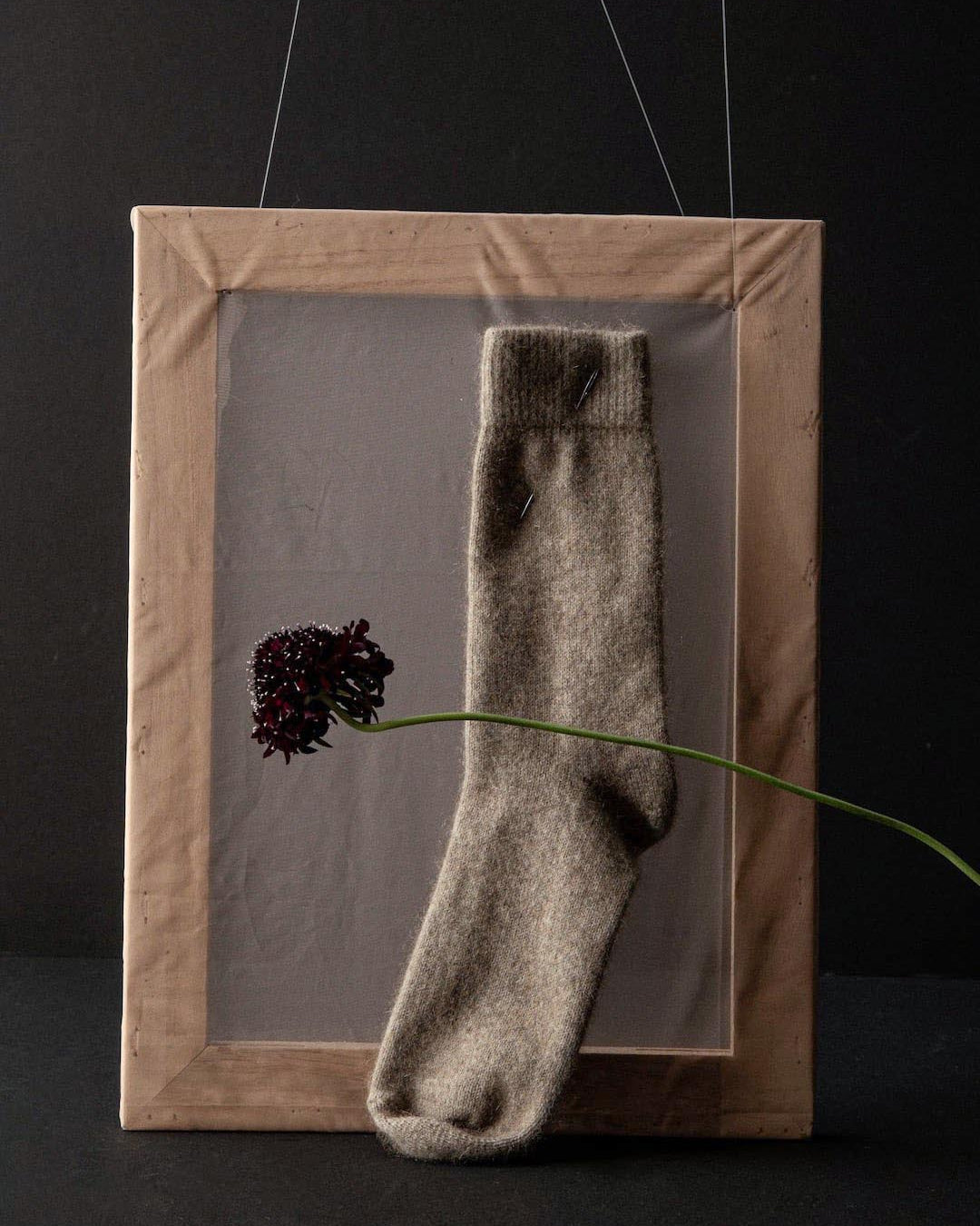 A single Possum Merino sock, made from New Zealand merino wool, is displayed in a wooden frame, accompanied by a stem with a dark flower, against a black background.