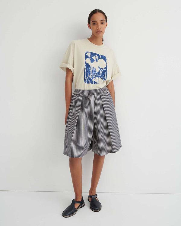 ray-shorts-evening-stripe