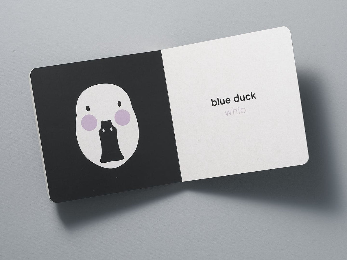 A black and white board book with an illustration of a stylized white duck on a black background accompanied by the text &quot;blue duck whio&quot; on a white background, Native NZ Baby Meets Bird – by Kate Muir.