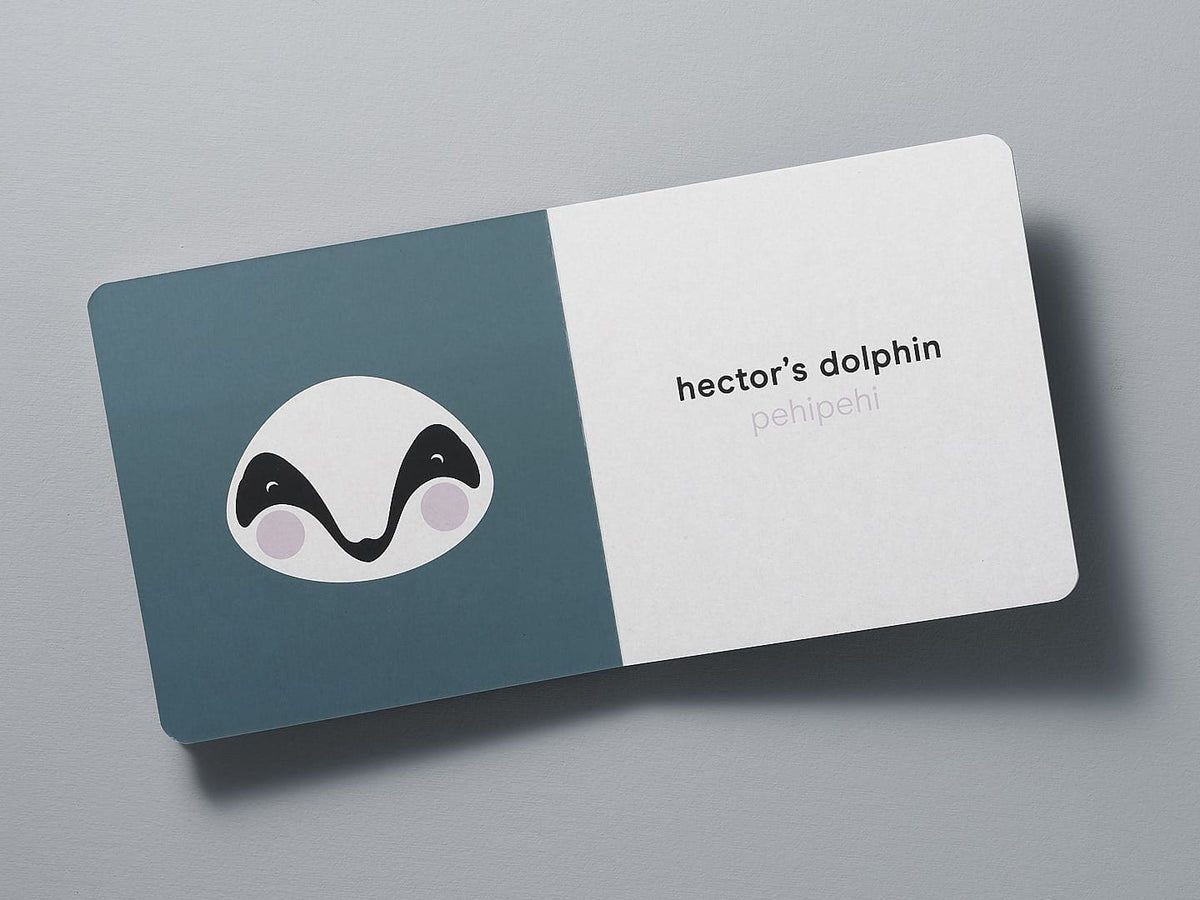 Illustrated the Native NZ Baby Meets Wildlife by Kate Muir brochure with the text &quot;hector&#39;s dolphin peihephi&quot; on a gray background.