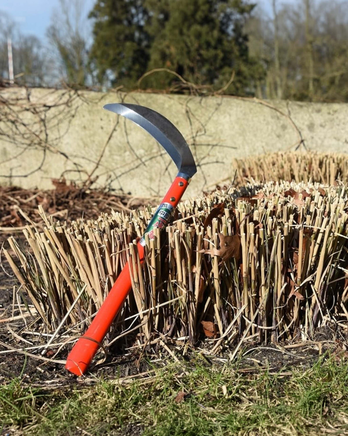 A red-handled sickle with a curved blade rests against a bundle of cut brown stems in an outdoor garden setting.