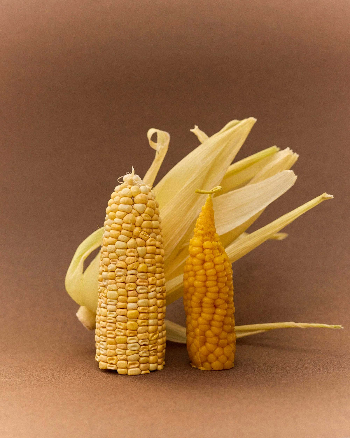 Two ears of corn, one large and one small, stand upright with partially peeled husks, resembling the handcrafted Sweetcorn Candle made from pure New Zealand beeswax.