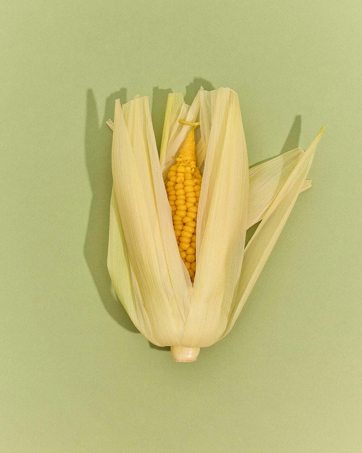 A Sweetcorn Candle, designed to look like a partially husked ear of yellow corn standing upright on a pale green background, is handcrafted from pure New Zealand beeswax.