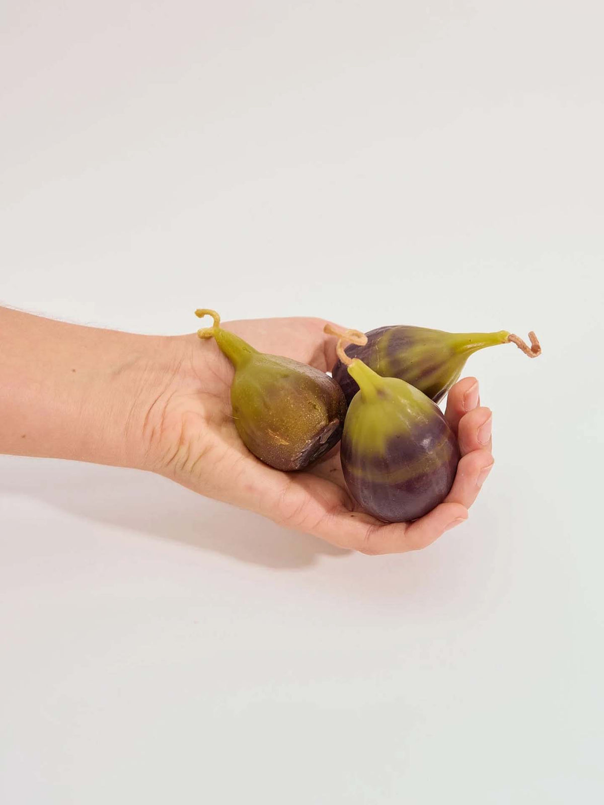 A hand holds three fresh figs with green and purple skin next to the Fig Candle, which is handmade from pure New Zealand beeswax, all arranged on a plain white background.