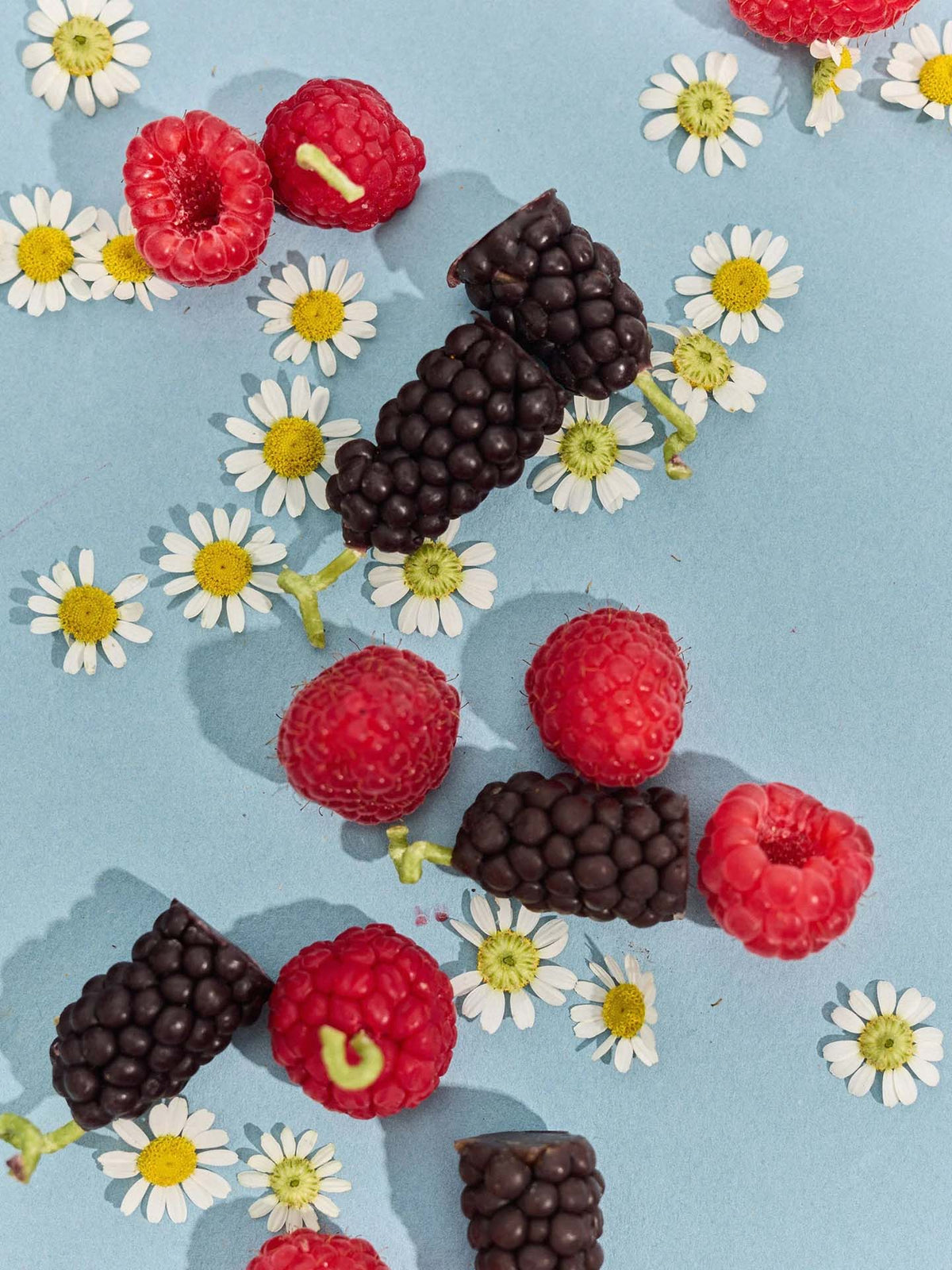 Mixed Berries Candles – Box of 10 features raspberry and blackberry beeswax candles styled among small white daisies on a light blue surface, bringing a charming touch to any occasion.