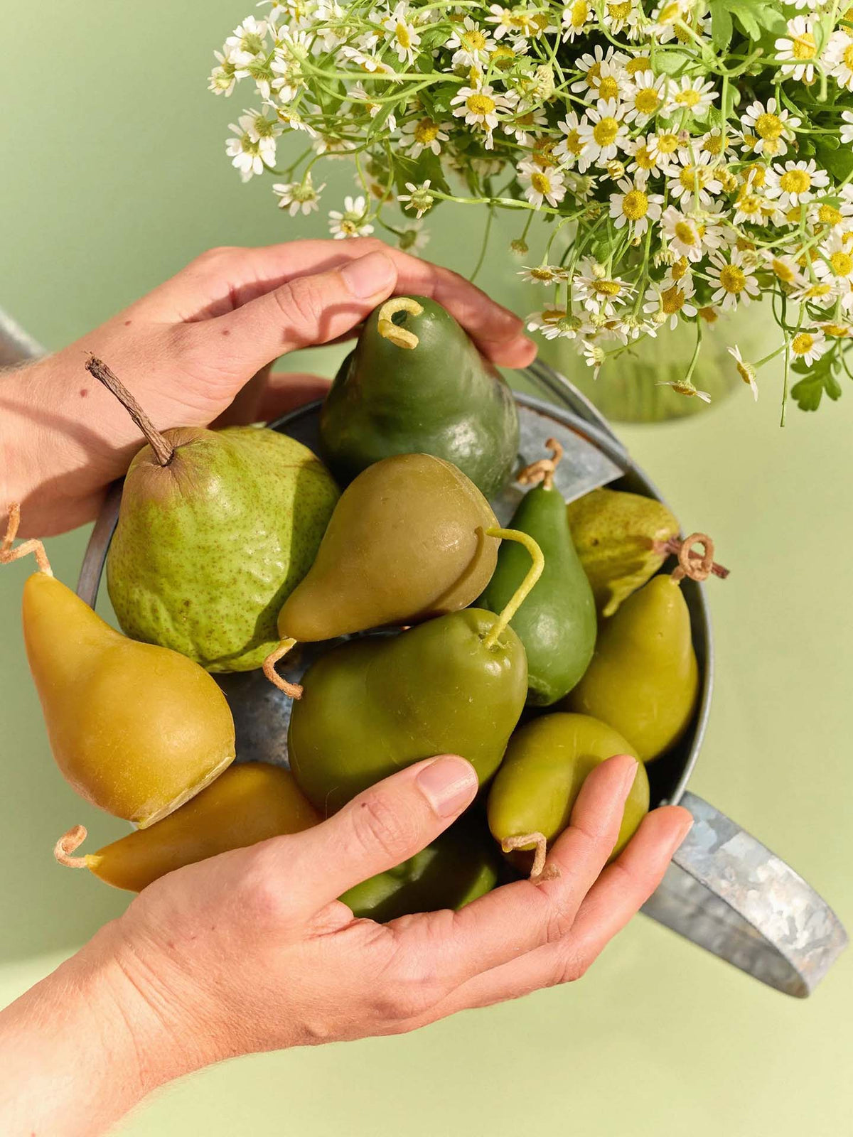 Hands holding a Green Pear Candle – Large with a pot of white flowers and handmade candles nearby on a light green surface.