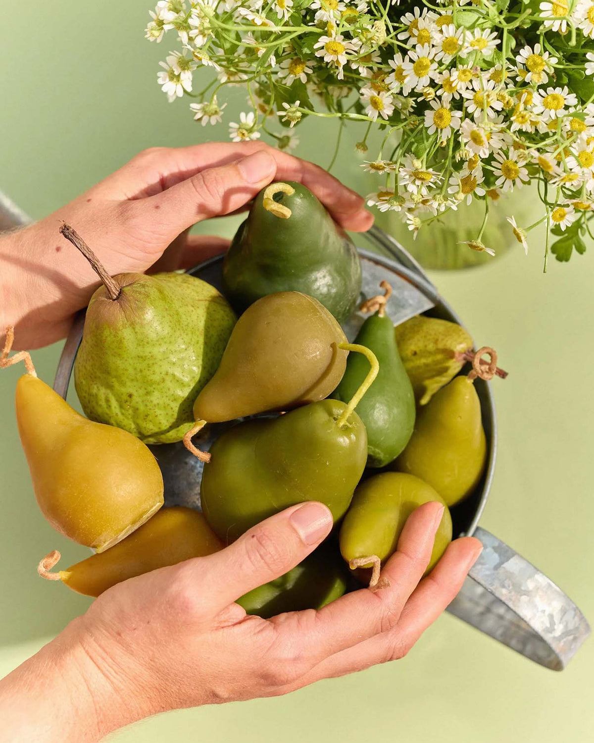 Hands holding a Green Pear Candle – Large with a pot of white flowers and handmade candles nearby on a light green surface.