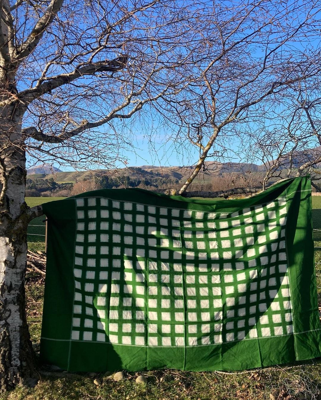 A Stitchwallah Ikat Weave Tablecloth – Green Grid hanging on a tree in a field.