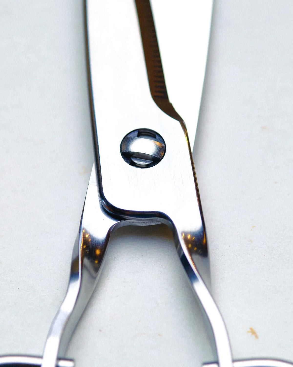 Close-up of the joint and handles of stainless steel scissors resting on a light-colored surface.