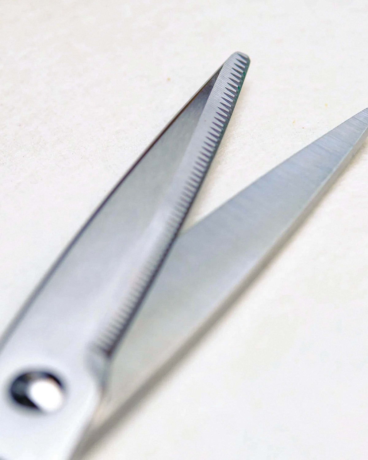 Close-up of open haircutting scissors with one serrated blade and one smooth blade on a light background.