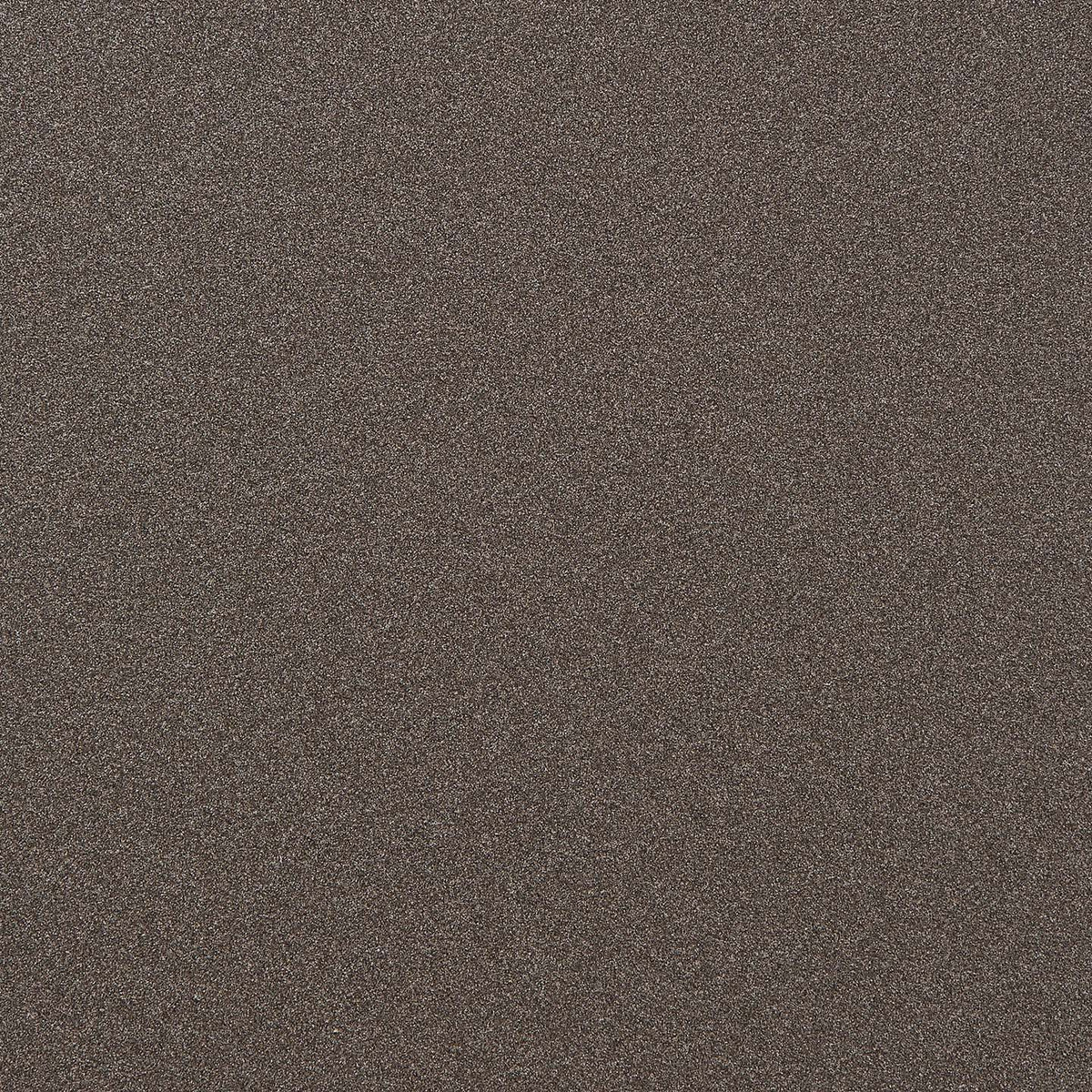 Close-up of a textured surface with a speckled, grainy appearance in shades of gray and brown, reminiscent of the Camber-Top Toolbox Y-350 – Titanium by TOYO STEEL for a robust finish.