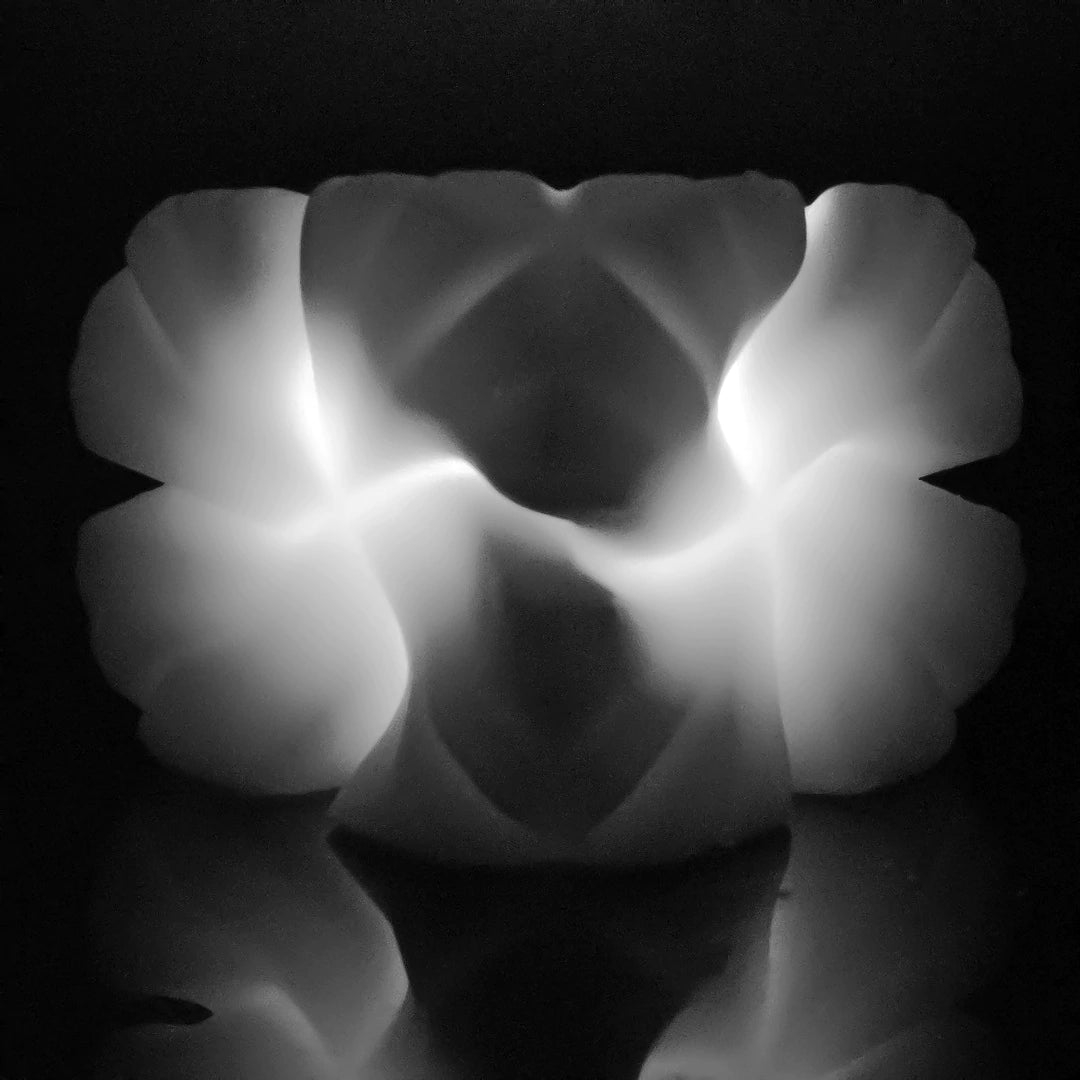 A black and white image of a Rose Candle with a flower on it by Andrej Urem.