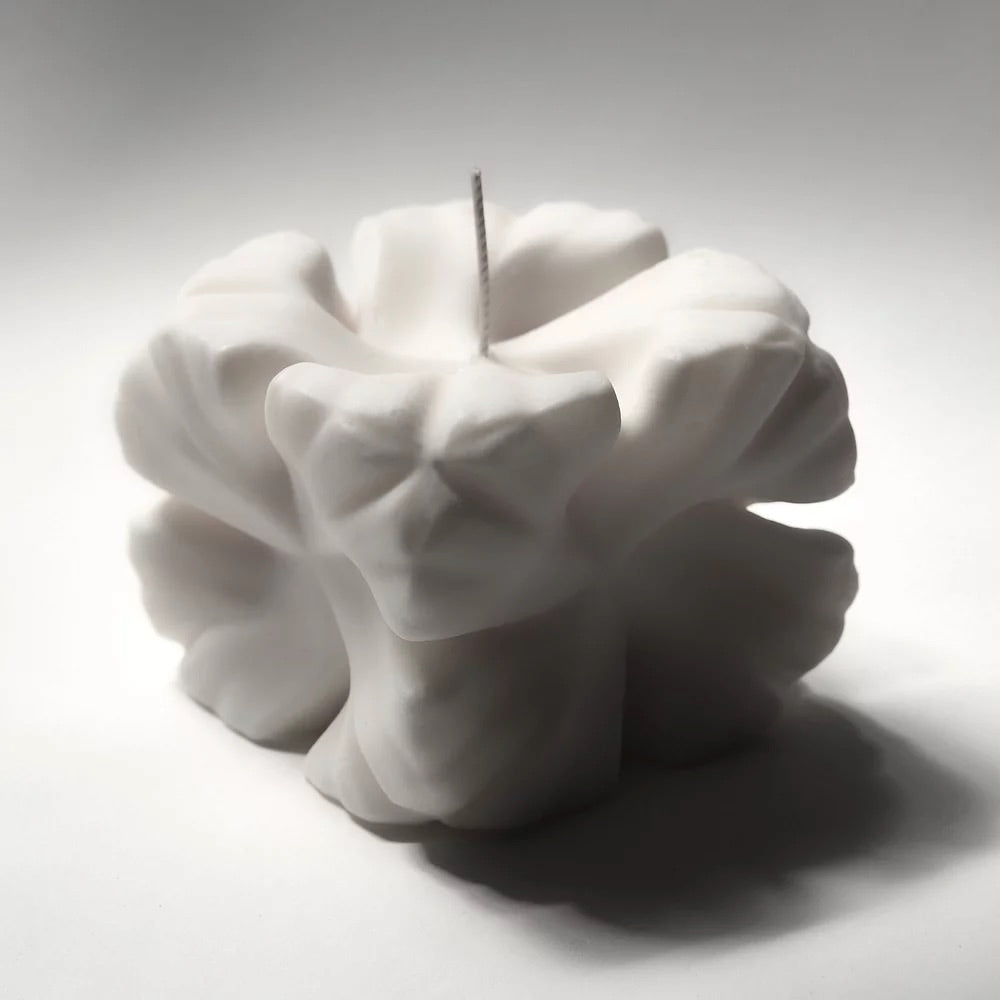 A Rose Candle by Andrej Urem is sitting on a white surface.