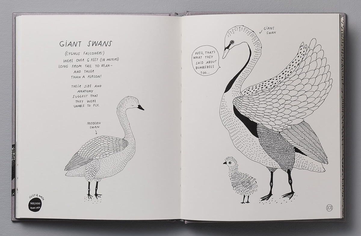 A &quot;Animals of a Bygone Era – An Illustrated Compendium&quot; by Maja Säfström with a drawing of a swan and a baby swan.