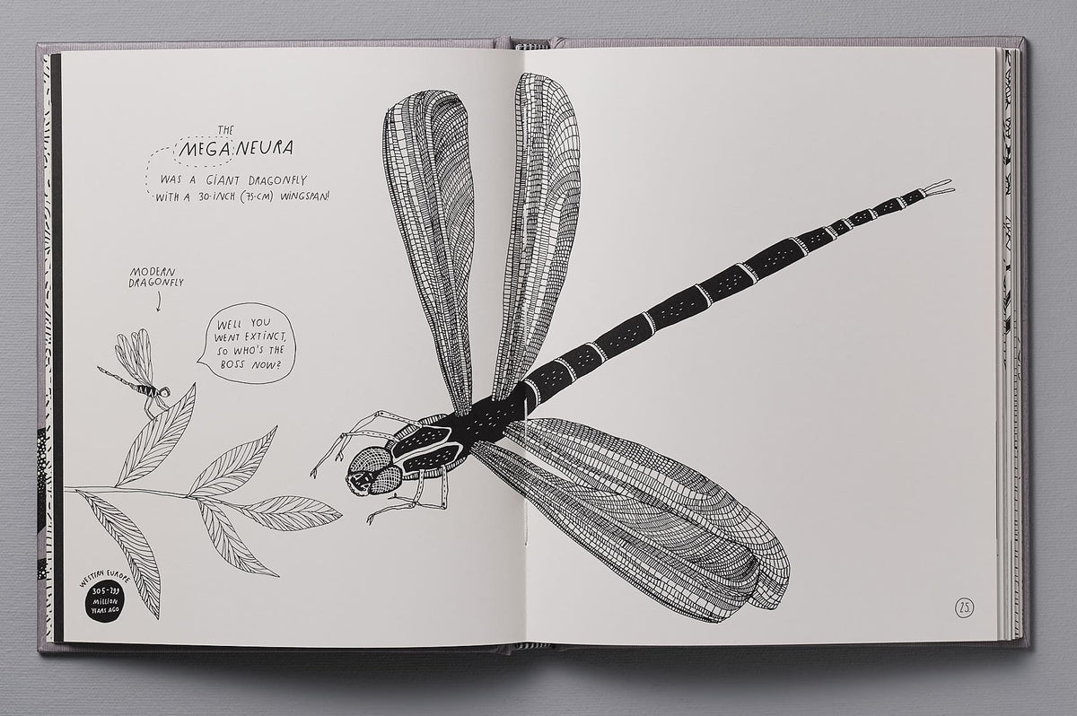 An open copy of &quot;Animals of a Bygone Era – An Illustrated Compendium&quot; by Maja Säfström with an illustration of a dragonfly.