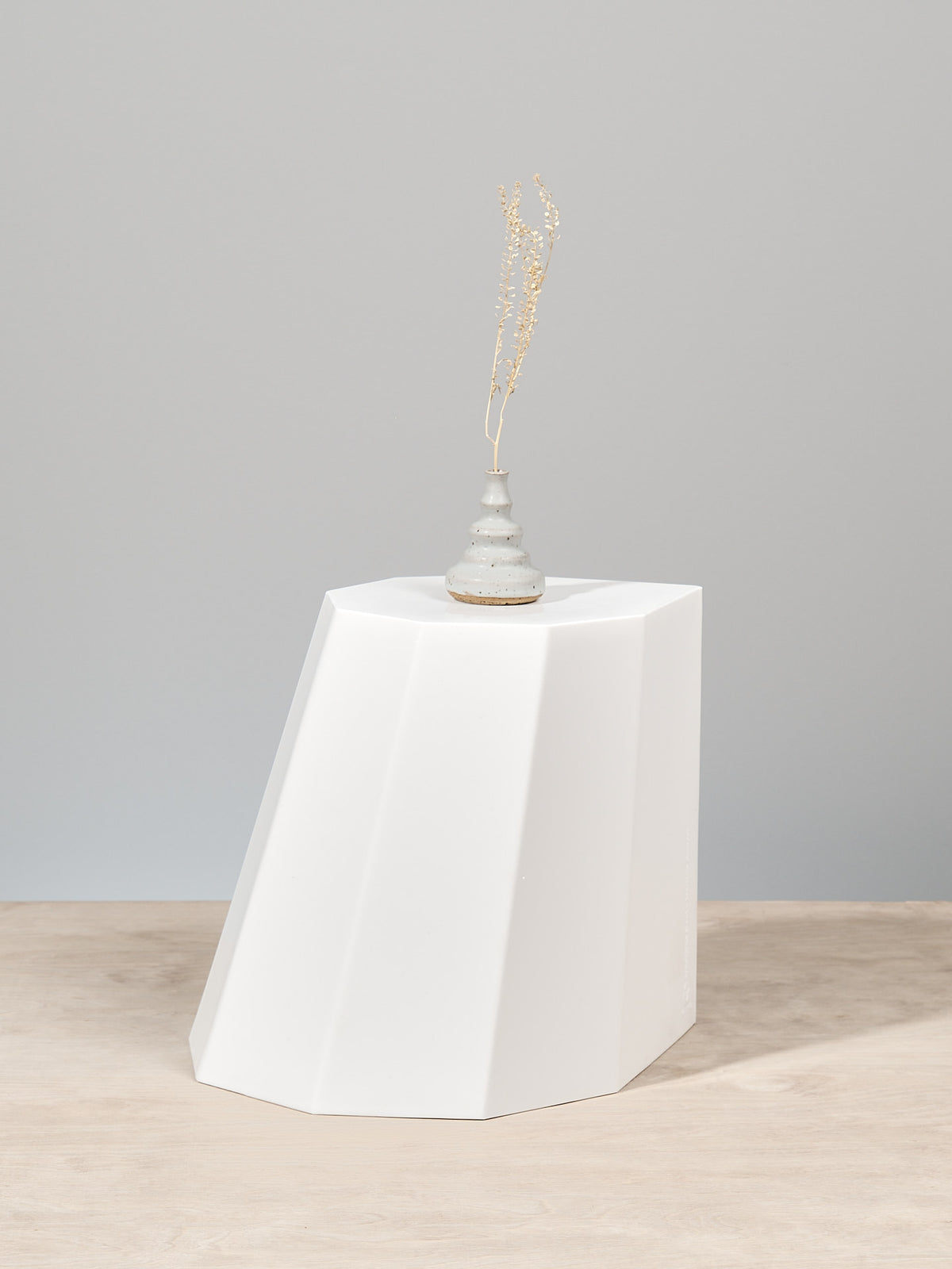 An Arnoldino Stool – Chalk by Martino Gamper with a plant on top.