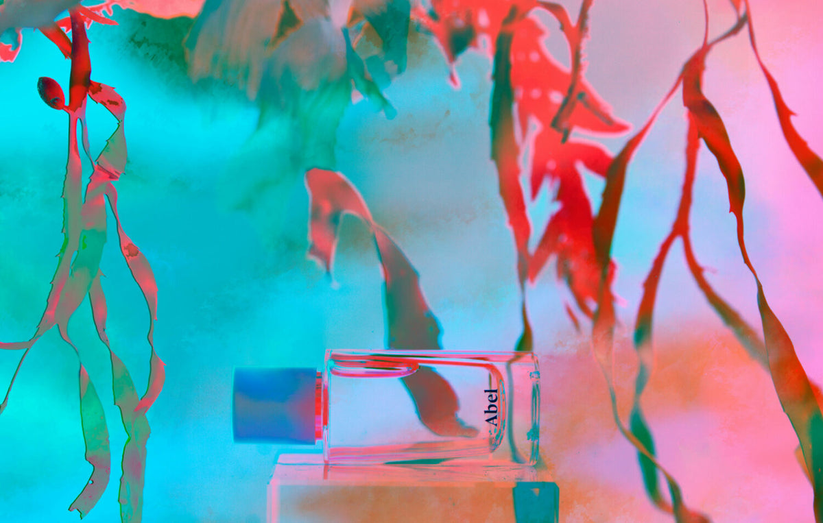 A bottle of Cyan Nori perfume by Abel sitting on a table in front of a colorful background, inspired by Sustainable Coastlines New Zealand&#39;s commitment to preserving Nori and infused with the refreshing scent of Tangerine.
