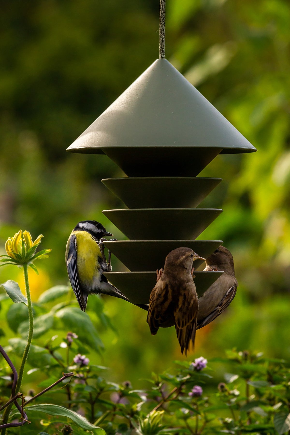 Two birds eating from a Pidät Bird Silo - Camp Green.