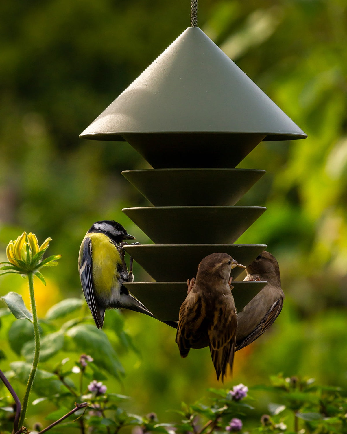 Two birds eating from a Pidät Bird Silo - Camp Green.