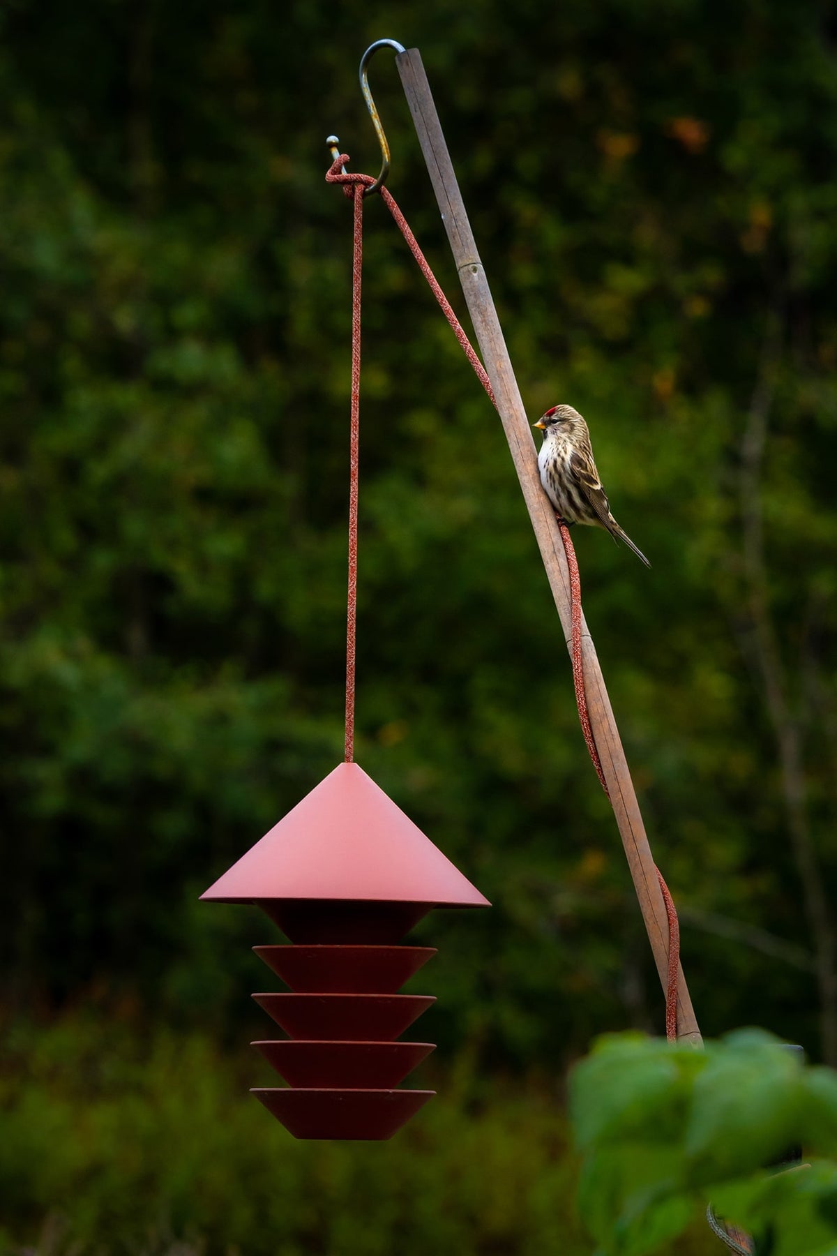A bird perched on a Pidät Bird Silo – Terracotta.