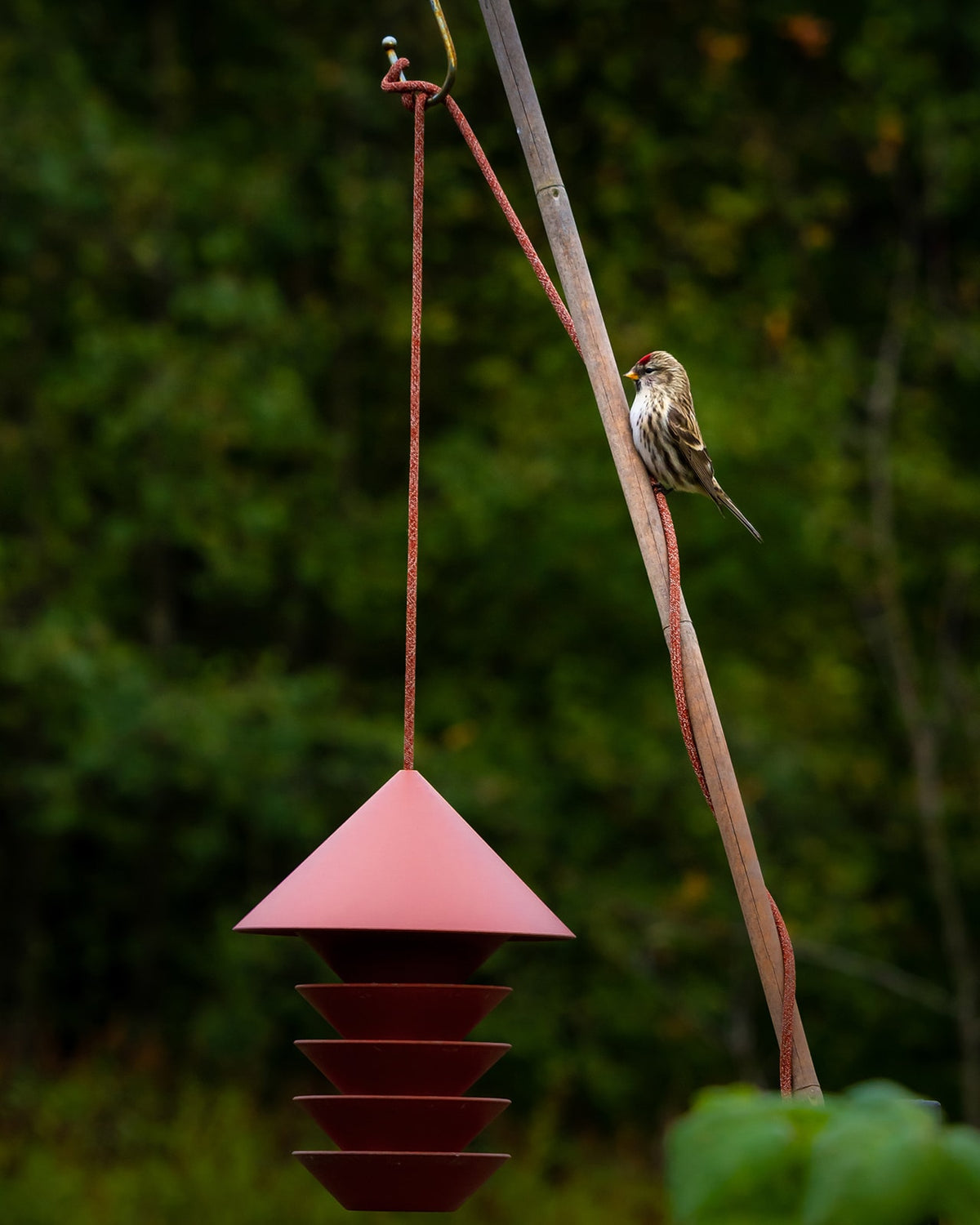 A bird perched on a Pidät Bird Silo – Terracotta.