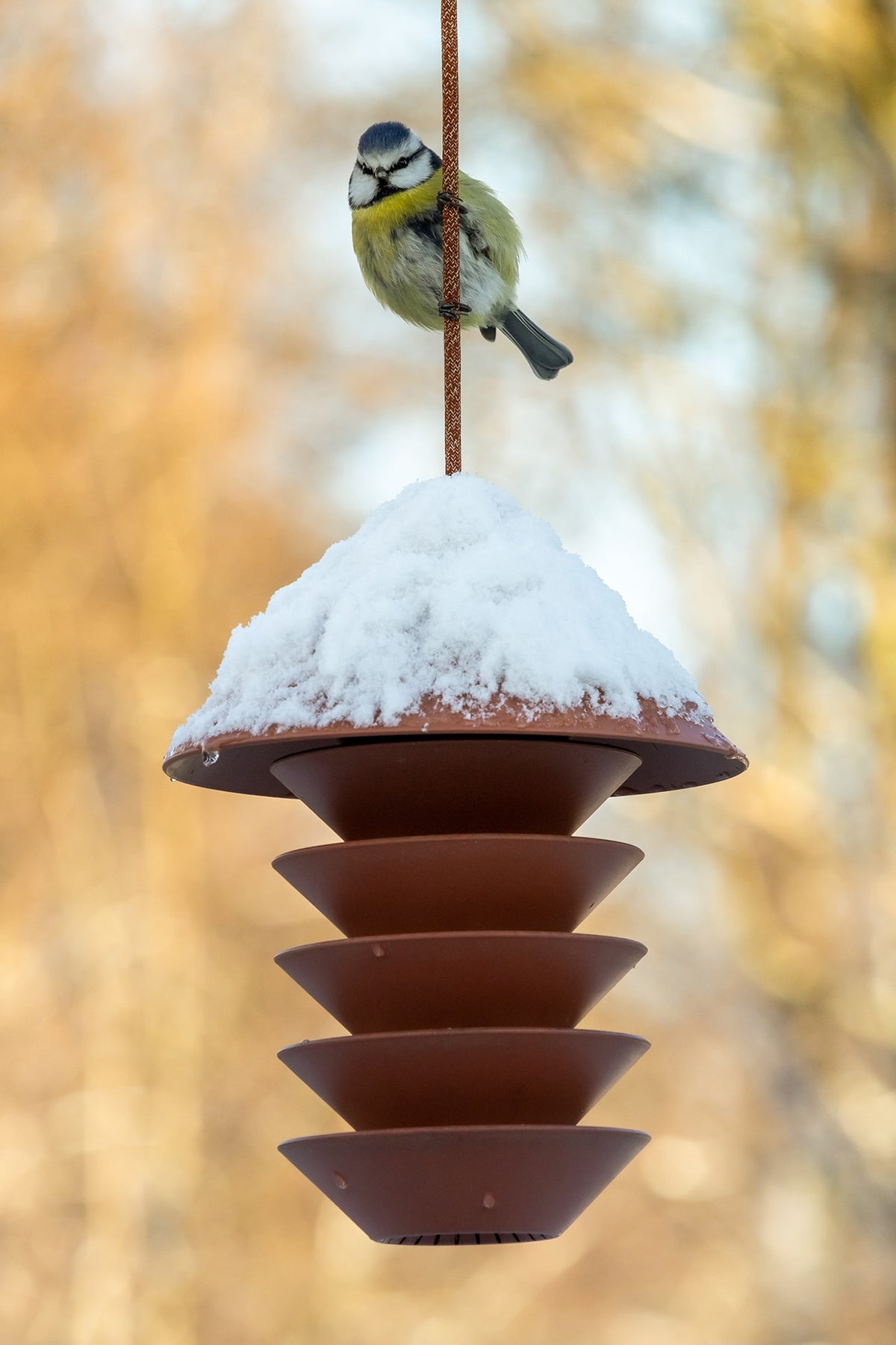 A small bird perched on a Pidät Bird Silo in the snow.