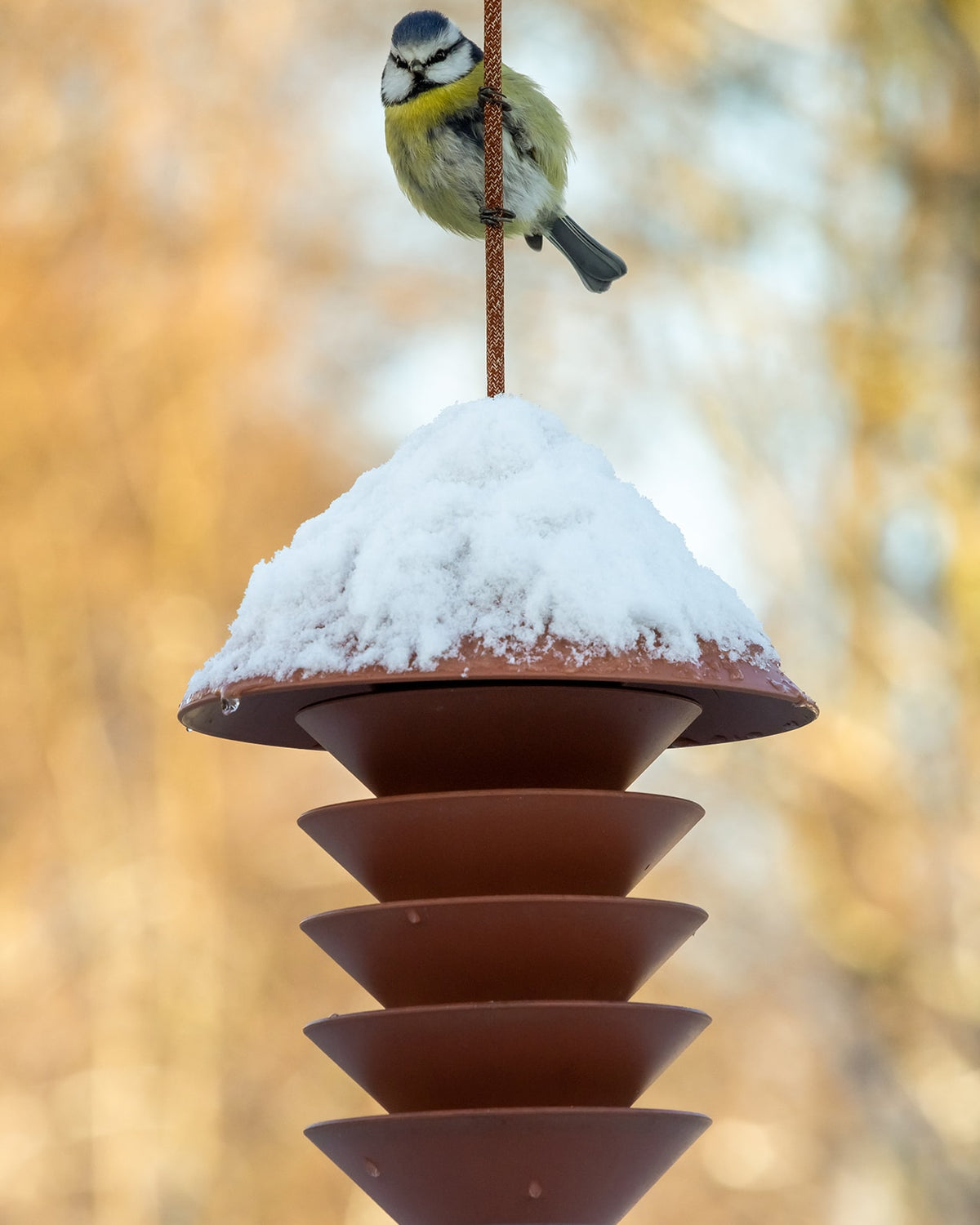 A small bird perched on a Pidät Bird Silo in the snow.