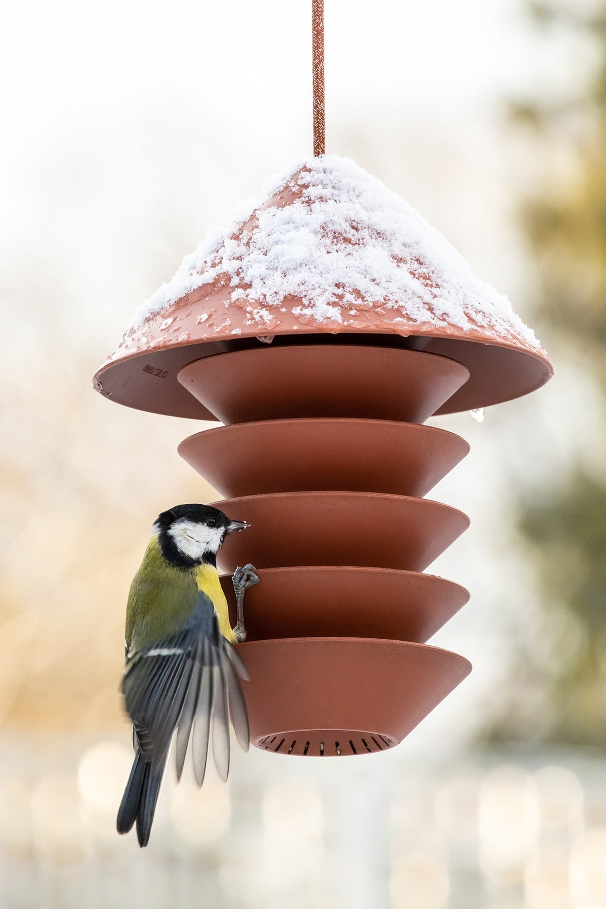 A bird perched on a Pidät Bird Silo – Terracotta in the snow.