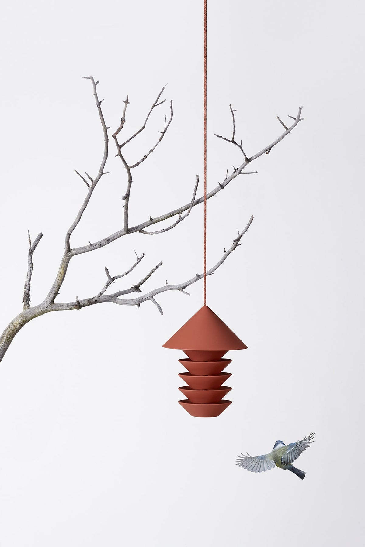 A Pidät Bird Silo – Terracotta perched on a branch near a hanging lantern.