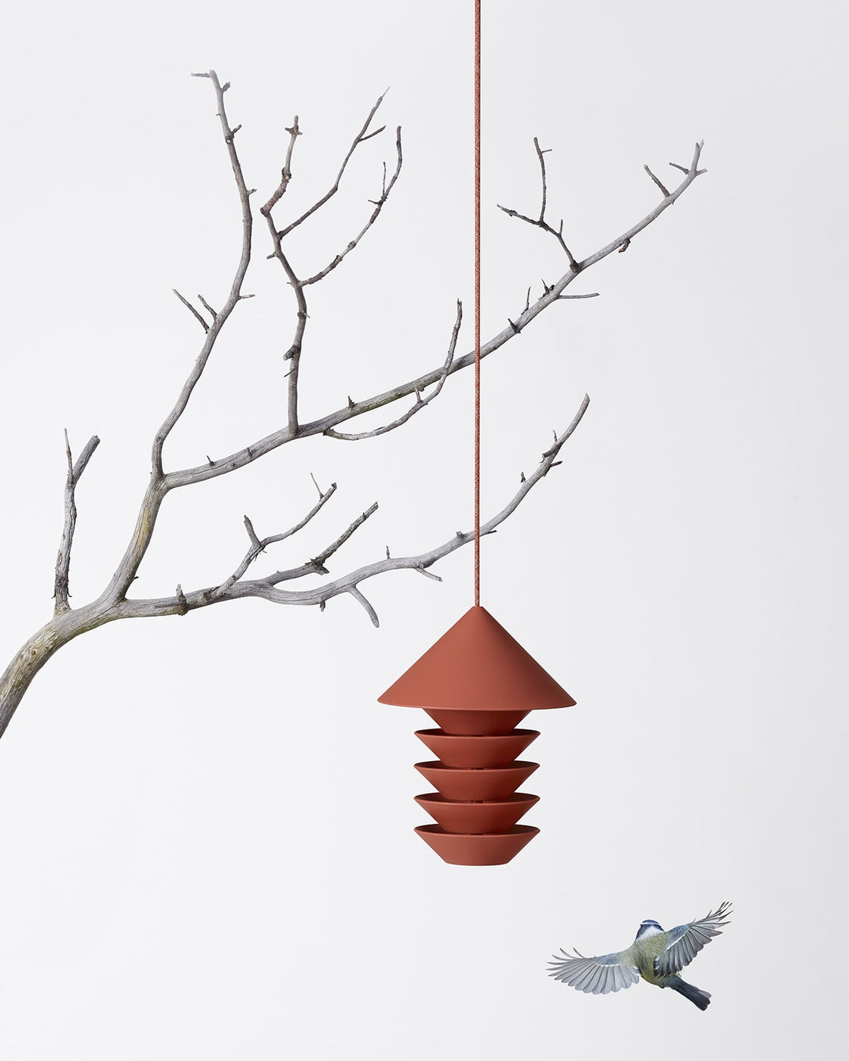 A Pidät Bird Silo – Terracotta perched on a branch near a hanging lantern.