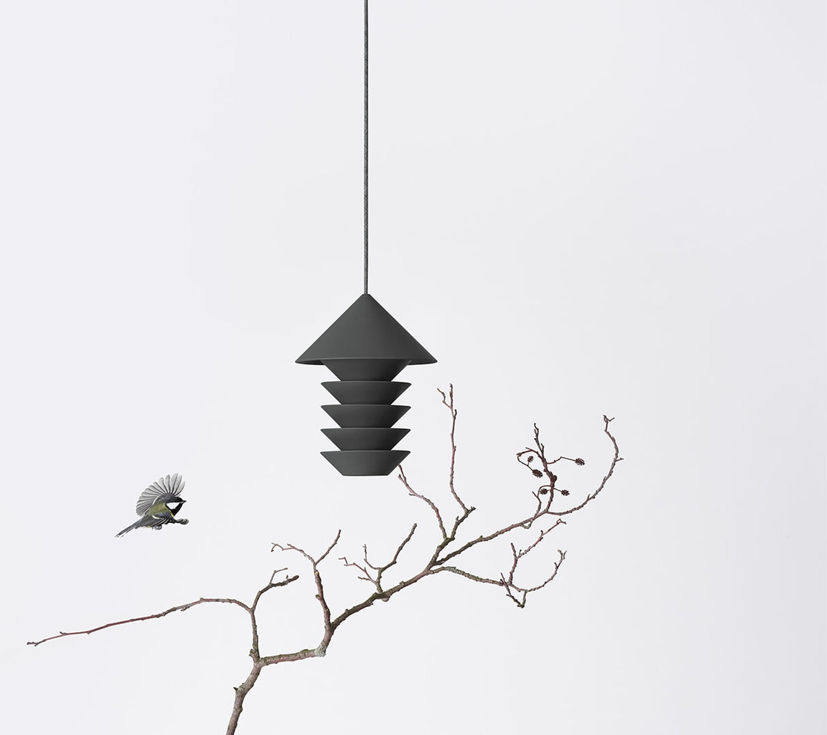 A Bird Silo - Slate perched on a branch hanging from a Pidät light fixture.