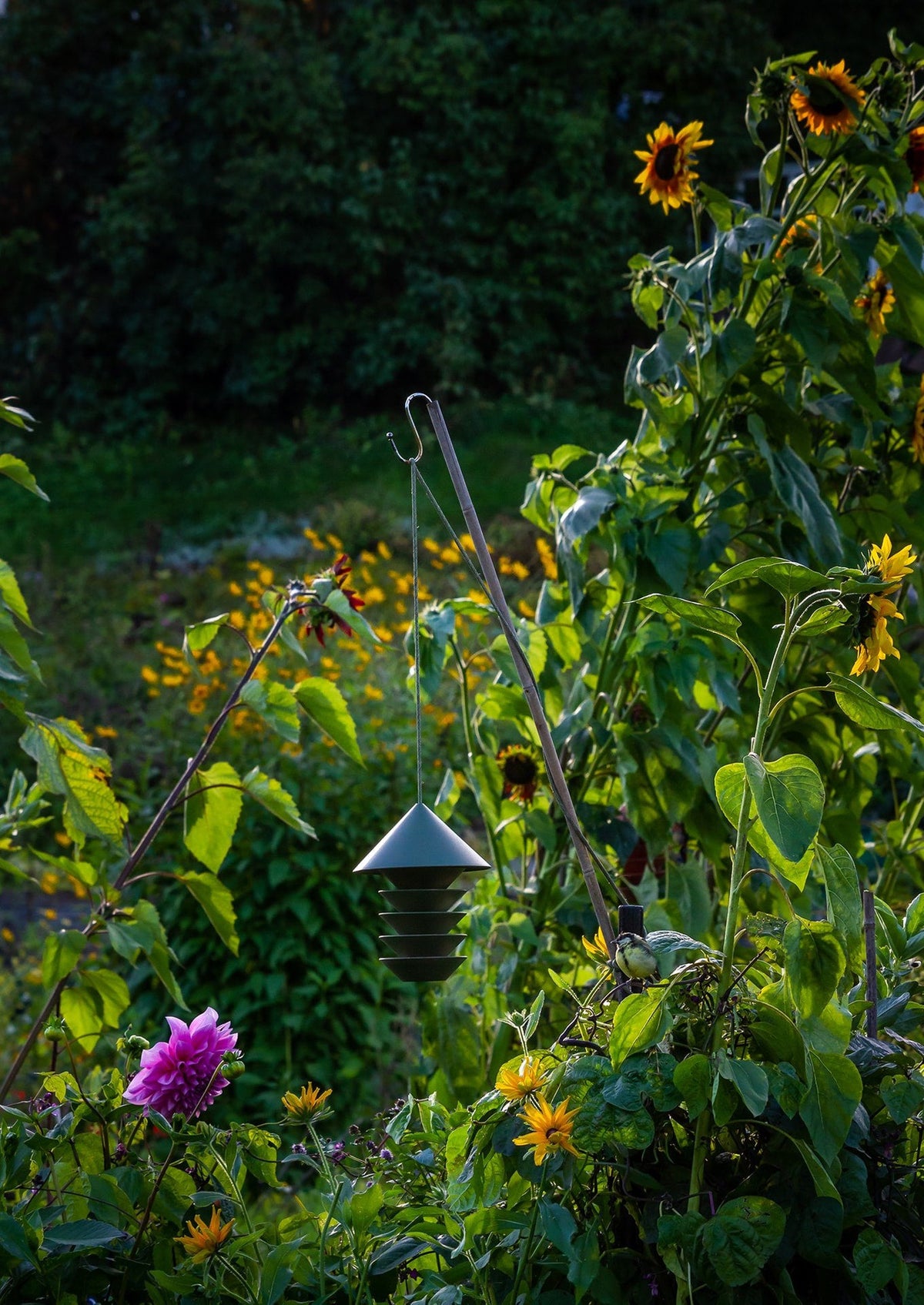 A garden with flowers and a Pidät Bird Silo – Camp Green bird feeder.