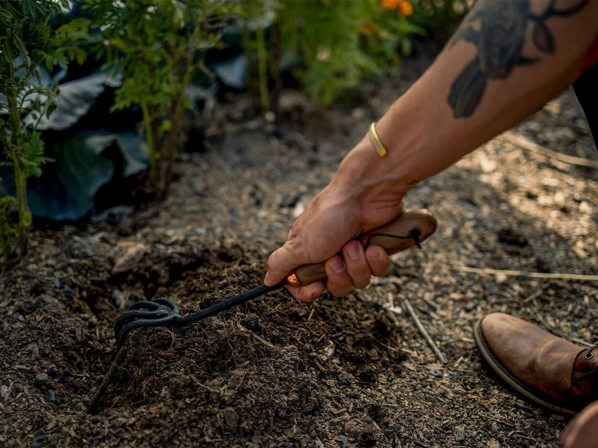 A person using a Barebones cultivator to dig up dirt in a garden.