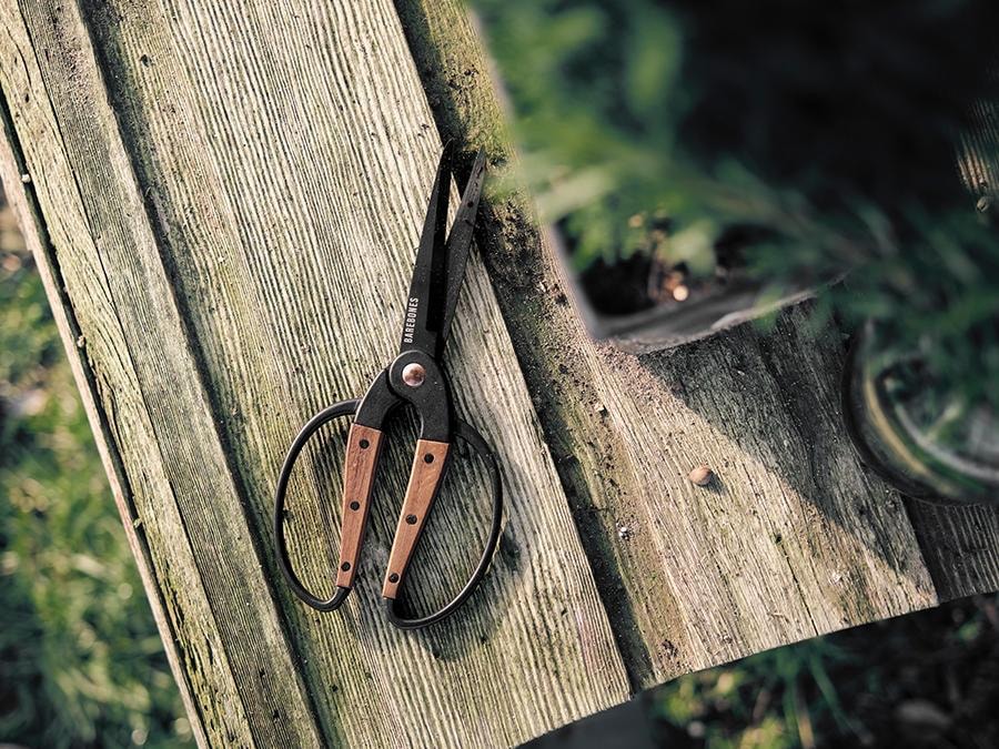 A pair of Barebones Walnut Garden Scissors - Large on a wooden bench.