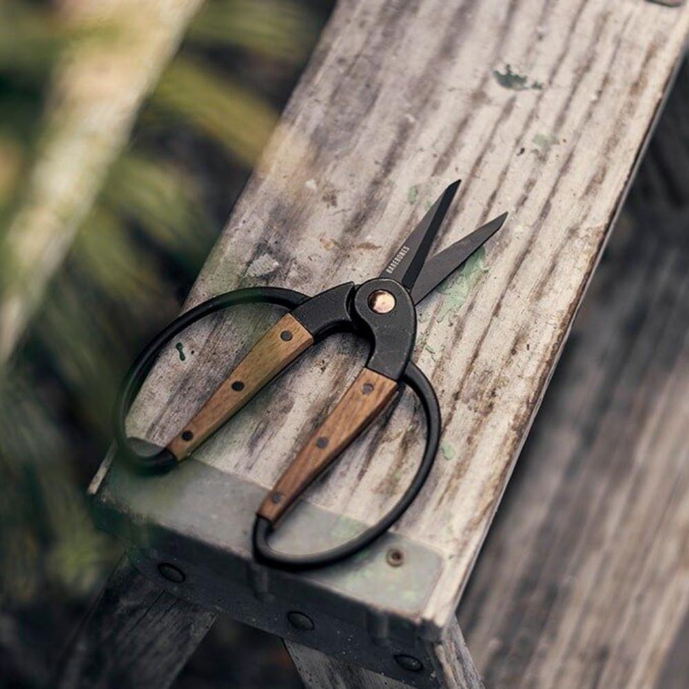 A pair of Barebones Walnut Garden Scissors – Small sitting on a wooden bench.