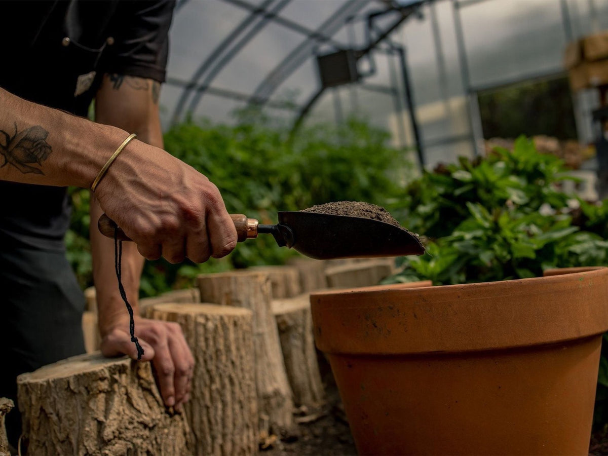 A man using a Barebones Garden Scoop to plant a plant in a pot.