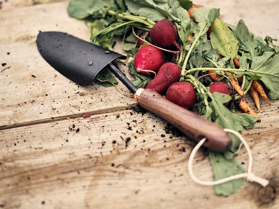 Radishes and a Barebones garden trowel on a wooden table.